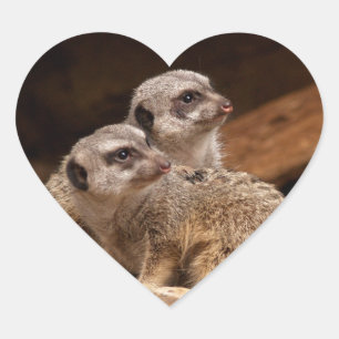 Cœur Sticker Coeur Meerkat