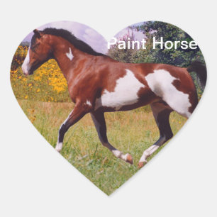 Cœur Sticker Coeur pour Cheval de Peinture
