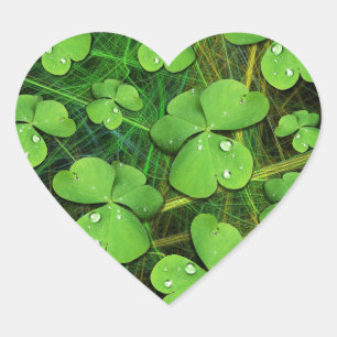 Cœur Sticker de la Saint Patrick Shamrock verte