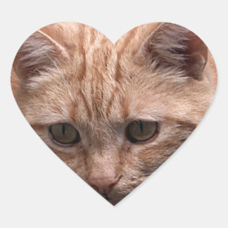 Cœur Sticker en forme de coeur de chat gingembre