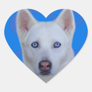 Cœur Sticker Husky Sibérien Blanc (arrière - plan Bleu)