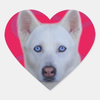 Cœur Sticker Husky Sibérien Blanc (arrière - plan Rose)