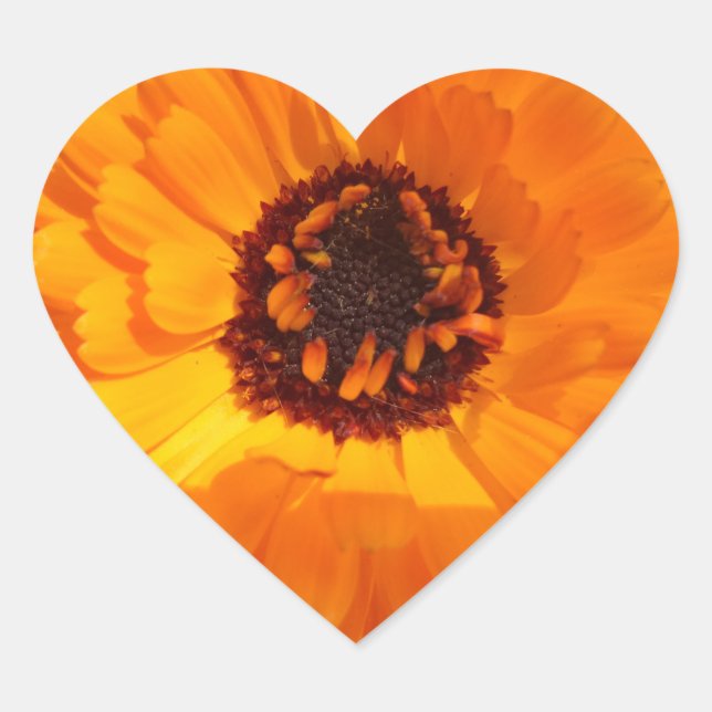 Cœur Sticker Orange Flower Heart (Devant)