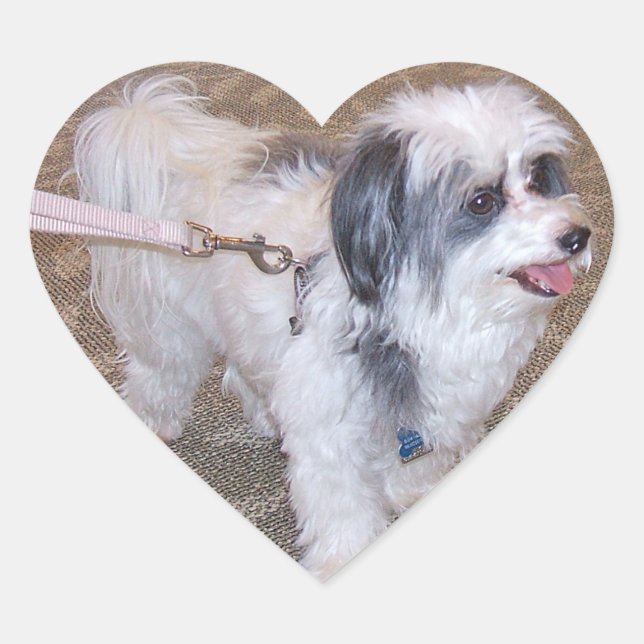 Cœur Sticker Petit Chien (Devant)