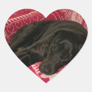 Cœur Sticker pour chien endormi