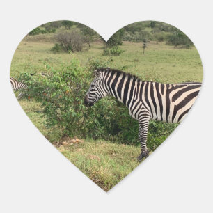 Cœur Sticker Zebra