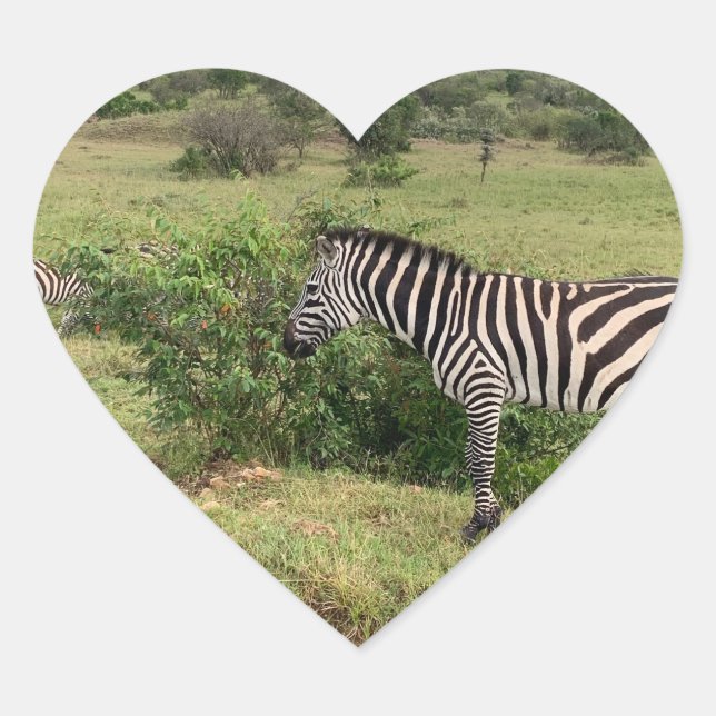 Cœur Sticker Zebra (Devant)