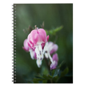Coeurs brisés - Carnet vers le haut