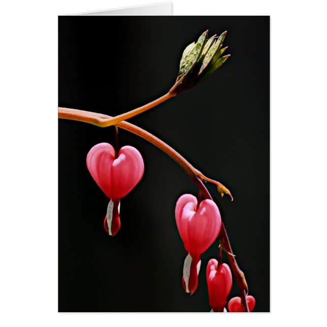 Coeurs sur une courbe (Devant)