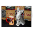 Coffe, thé, ou Meow