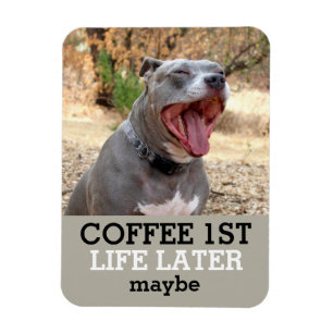 Coffee 1st Life Later Pitbull Magnet