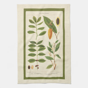 Coffee Antique Tea Botanical Beverage Plants Chart Kitchen Towel