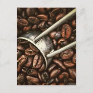 Coffee Bean Postcard