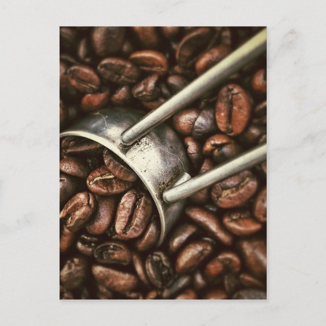 Coffee Bean Postcard (Front)