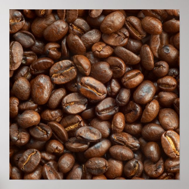 Coffee Bean Poster (Front)