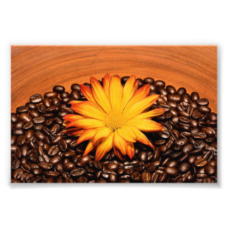 Coffee Beans and Yellow Daisy Photo Print