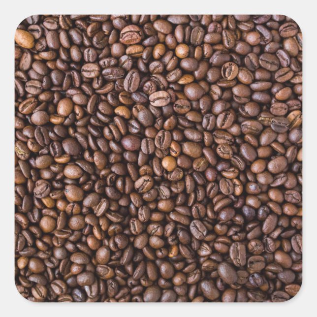 Coffee Beans Pattern Funny Coffee Lovers Square Sticker (Front)