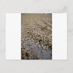 Coffee beans postcard