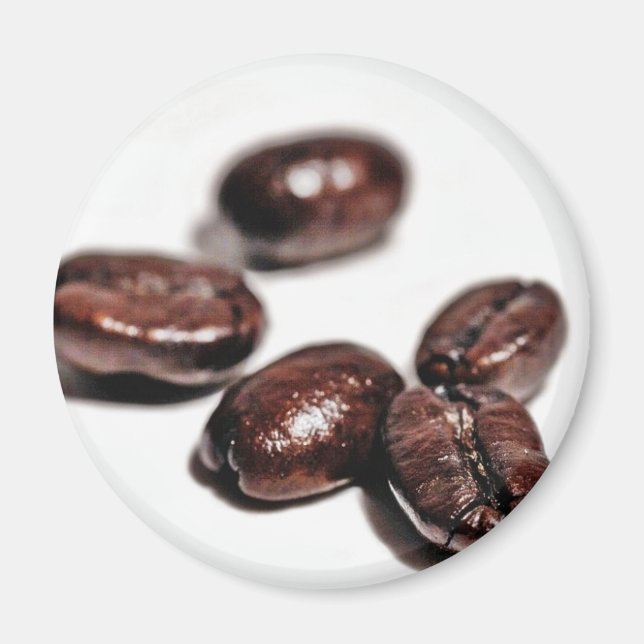 Coffee Beans Shot In My New Studio Magnet (Front)