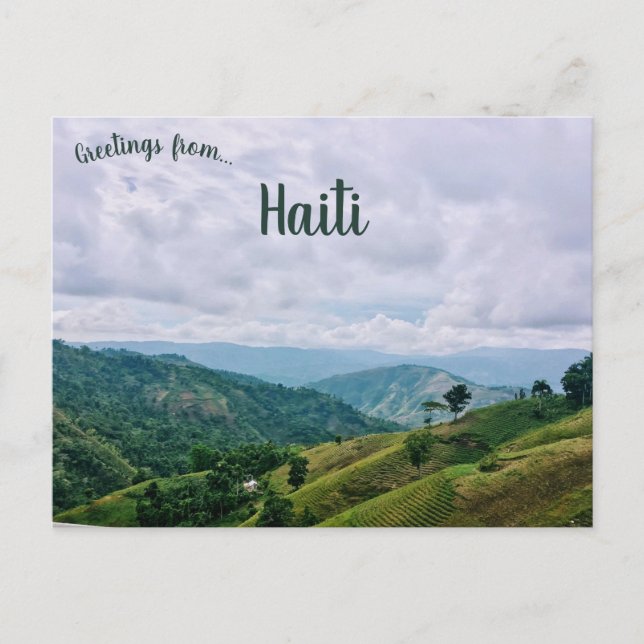 Coffee Fields in Jacmel Bay Haiti Postcard (Front)