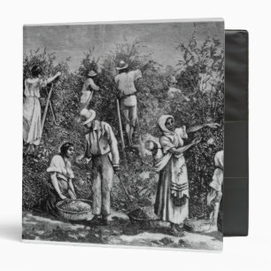 Coffee Harvest Binder