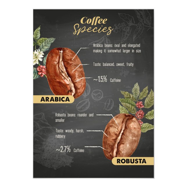 Coffee Lover Coffee Species Photo Print (Front)