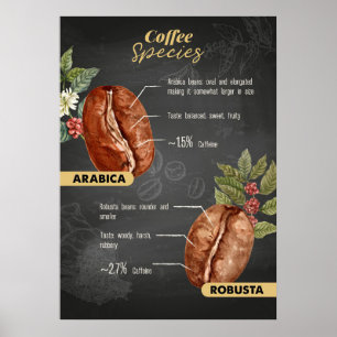 Coffee Lover Coffee Species Poster