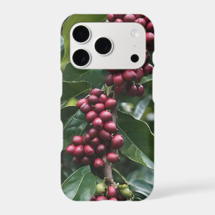 Coffee Lovers Coffee Tree,
