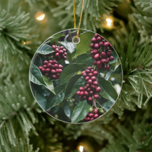 Coffee Lovers Coffee Tree, Ceramic Ornament