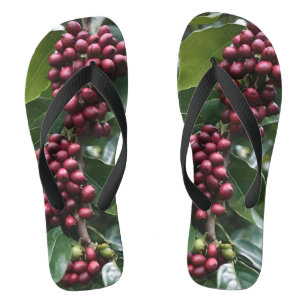 Coffee Lovers Coffee Tree, Flip Flops