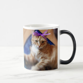 Coffee Mug cat