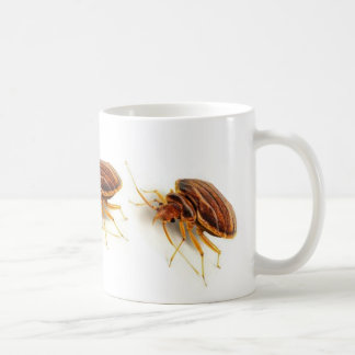 Coffee Mug - Cimex lectularius (bed bug)