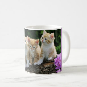 Coffee Mug-Kittens Coffee Mug