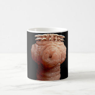 Coffee Mug-Spirometra erinaceieuropaei tapeworm Mug