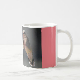 coffee mug with hummingbird...rest