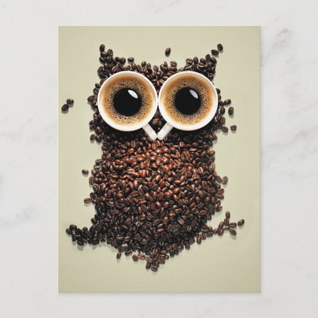 Coffee Owl Postcard (Front)