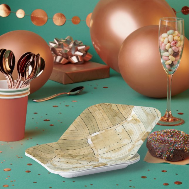 Coffee Stained Ledger Accountant Paper Plate (Multi)