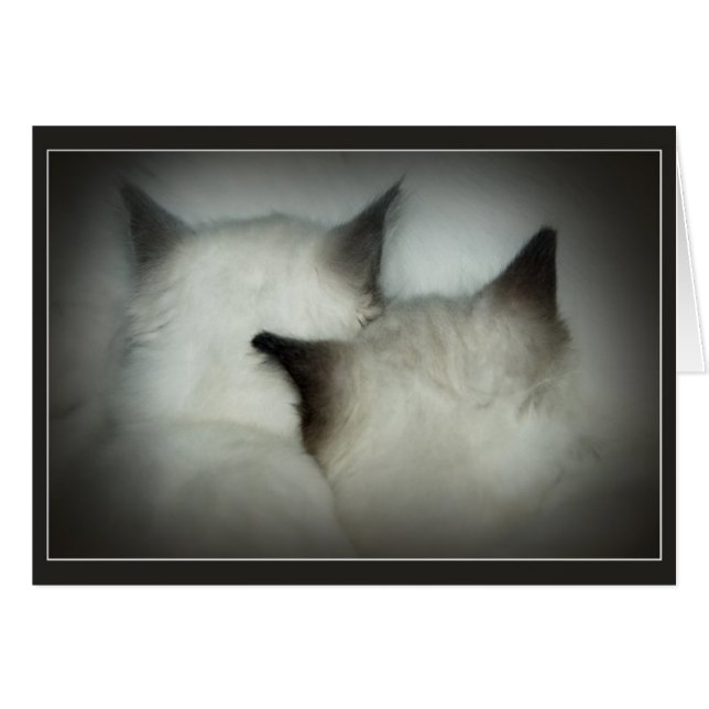 coffre-fort et bruit (Devant horizontal)