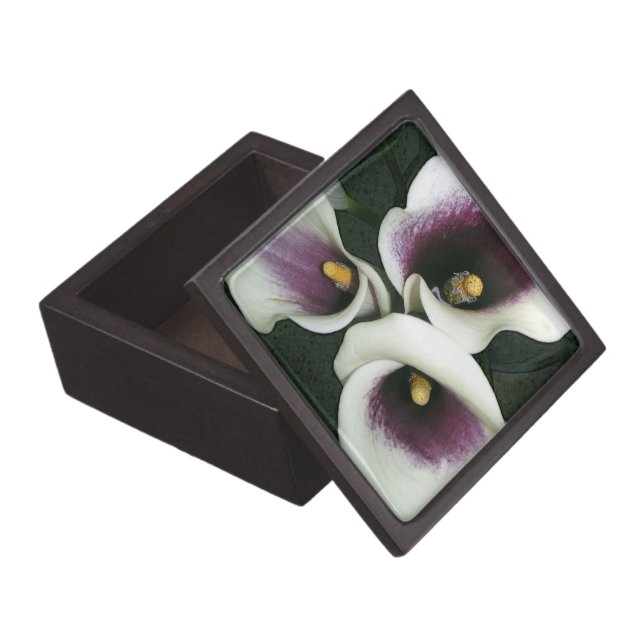 Coffret Cadeau De Première Qualité Callas sinueuses (Ouvert)