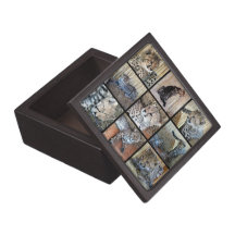 Guépard CUB -- Bébés animaux