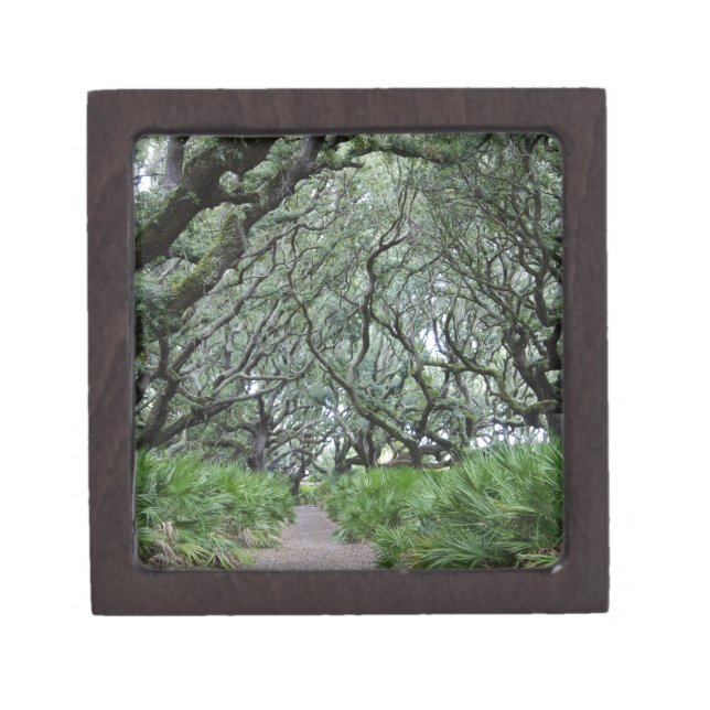 Coffret Cadeau De Première Qualité Île de Cumberland (Devant)