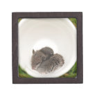 Souris de bébé de Sleepytime dans la tasse de thé