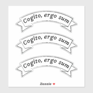 Cogito, ergo sum - I think, therefore I am