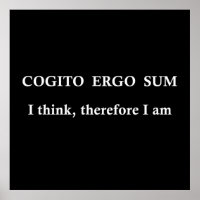 Cogito ergo sum