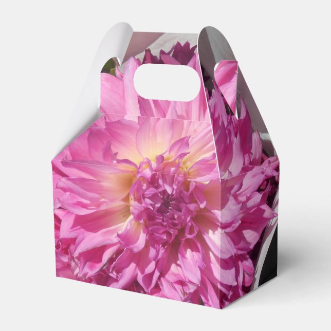 Cogniet Favor Box (Front Side)