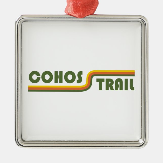 Cohos Trail New Hampshire Metal Ornament (Front)