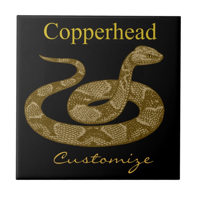 Coiled Copperhead Snake Thunder_Cove Tile (Front)
