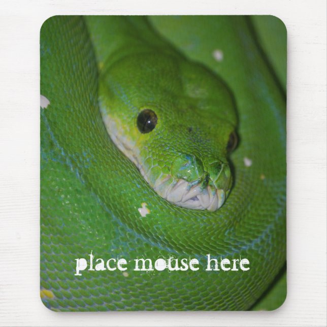 Coiled Exotic Green Snake Mouse Pad (Front)