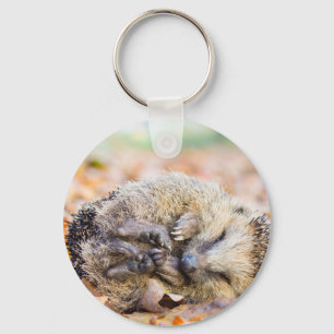 Coiled hedgehog lying on leaves in fall season keychain