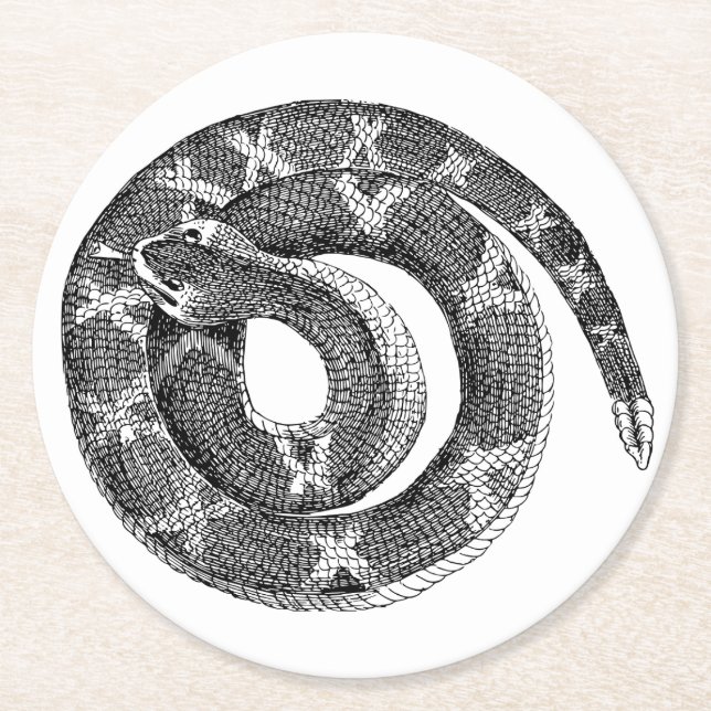 Coiled Snake Line Drawing Illustration Round Paper Coaster (Front)